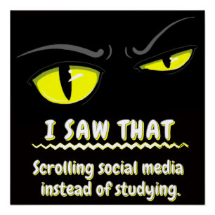 Slechte Boogie De Kat Student Sarcasme Universite Perfect Poster
