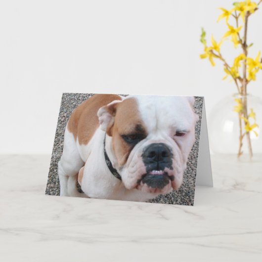 Slechte dag! kaart (Gele Bloem)