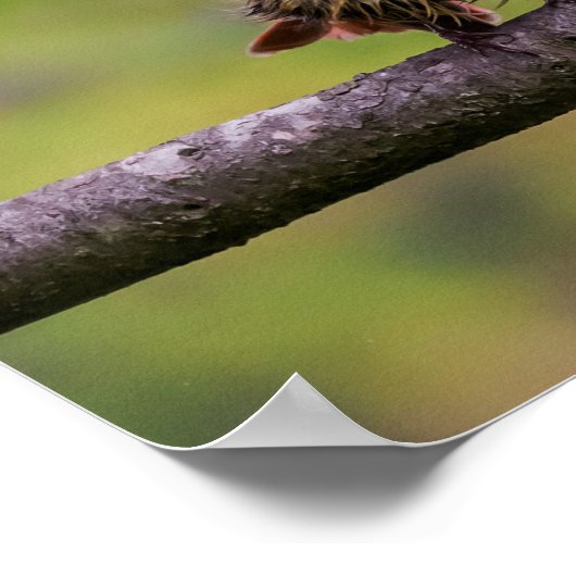 Slechte dag? poster (Hoek)