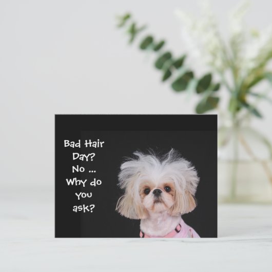 Slechte haardag? briefkaart (Staand voorkant)