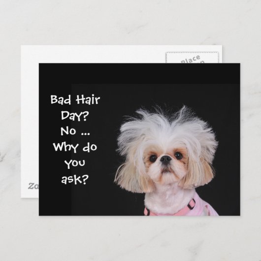 Slechte haardag? briefkaart (Voorkant / Achterkant)