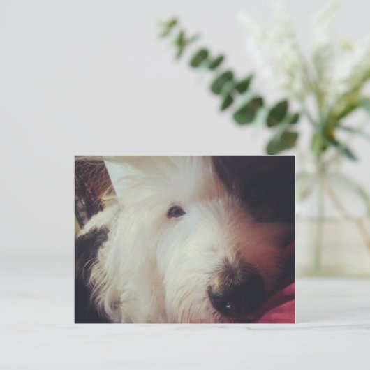 Slechte Haardag! Briefkaart (Staand voorkant)