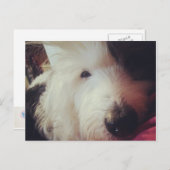 Slechte Haardag! Briefkaart (Voorkant / Achterkant)