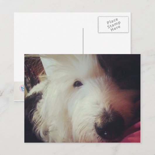 Slechte Haardag! Briefkaart (Voorkant / Achterkant)