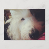 Slechte Haardag! Briefkaart (Voorkant)