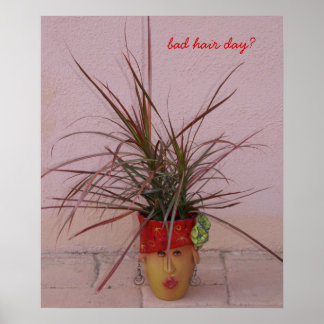 slechte haardag? poster