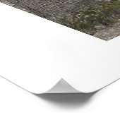 Slechte haardag poster (Hoek)