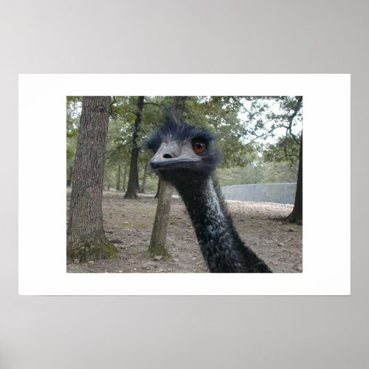 Slechte haardag poster (Voorkant)