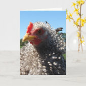 Slechte haardag soms kaart (Gele Bloem)