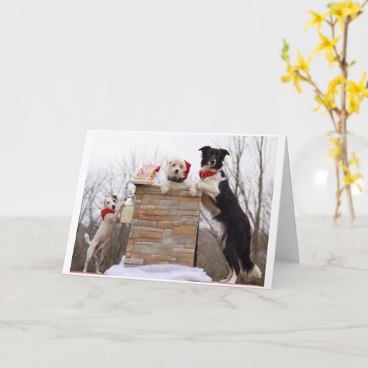 Slechte honden zijn klaar voor de kerstman. kaart (Gele Bloem)