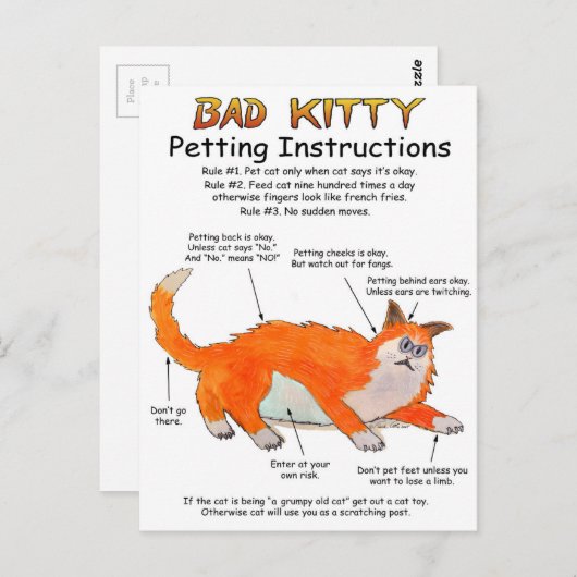 Slechte Kat Benzininstructies Briefkaart (Voorkant / Achterkant)