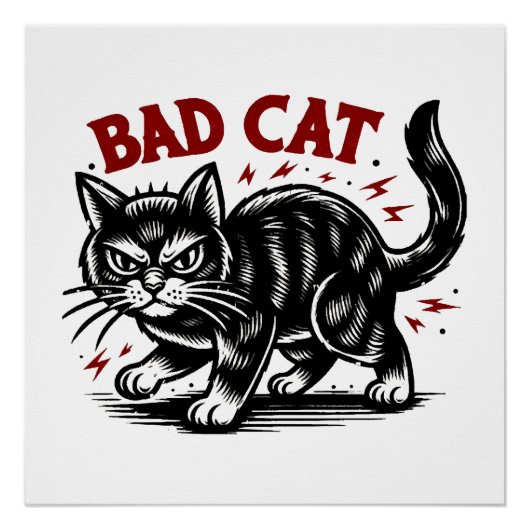 Slechte Kat Perfect Poster (Voorkant)