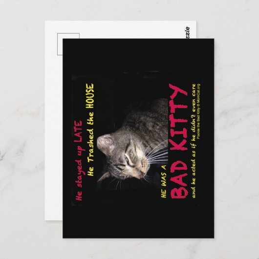 Slechte Katten Briefkaarten (Voorkant / Achterkant)