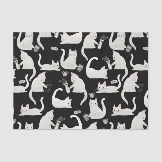 Slechte katten die er nog meer van weten, witte ka tissuepapier (Voorkant)