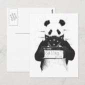 Slechte panda briefkaart (Voorkant / Achterkant)