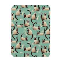 Slechte Siamese katten die er nog veel over doen