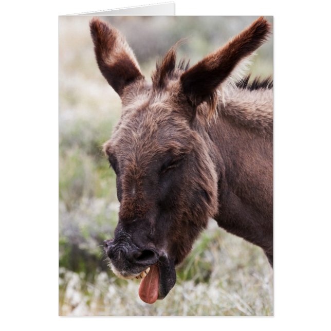 Slechte smaak (Voorkant)