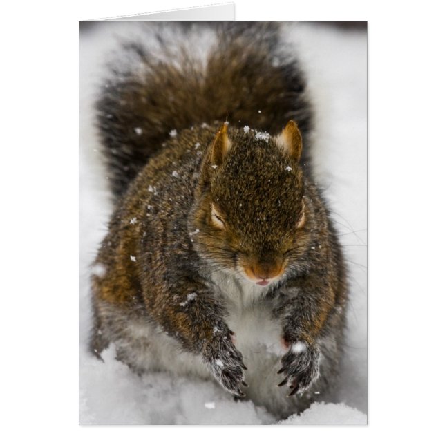 Slechte smaak (Voorkant)