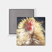 Slechte veerdag magneet (Voorkant / Achterkant)