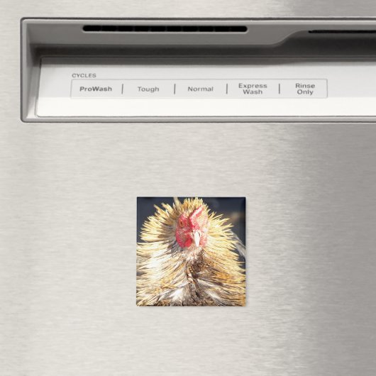 Slechte veerdag magneet (Insitu (Vaatwasser))