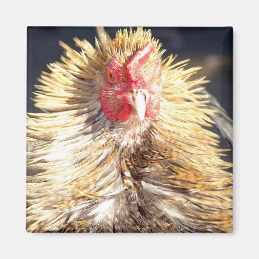 Slechte veerdag magneet (Voorkant)