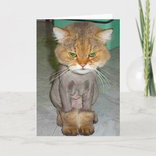 slechte verjaardag kaart