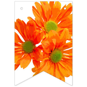 Slechts 3 Gerbera Blossom + je rug. en ideeën Vlaggetjes
