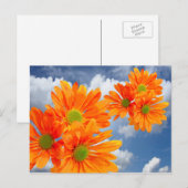 Slechts 3 Gerbera Daisy Blossom + jouw tekst & ide Briefkaart (Voorkant / Achterkant)