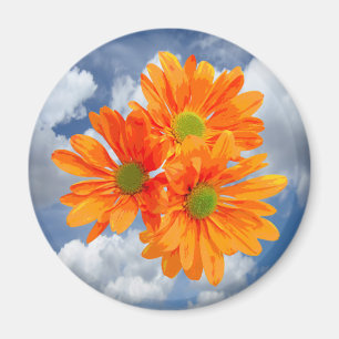 Slechts 3 Gerbera Daisy Blossom + jouw tekst & ide Magneet