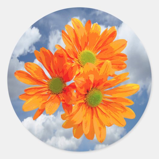 Slechts 3 Gerbera Daisy Blossom + jouw tekst & ide Ronde Sticker (Voorkant)