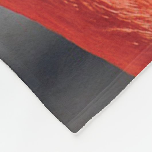 SLECHTS DE TWEE US Flamingo Valentijn Christelijk Fleece Deken (Hoek)