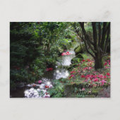 Slechts één ding Ontbrekend Briefkaart (Voorkant)