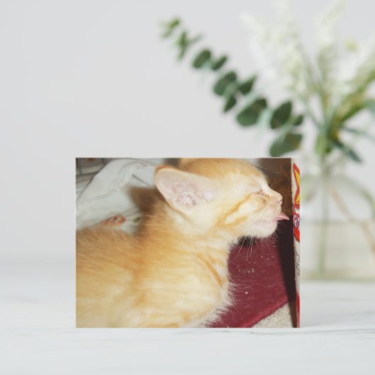 SLECHTS ÉÉN LIK BRIEFKAART (Staand voorkant)