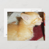 SLECHTS ÉÉN LIK BRIEFKAART (Voorkant / Achterkant)