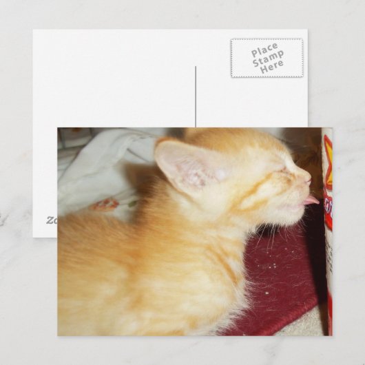 SLECHTS ÉÉN LIK BRIEFKAART (Voorkant / Achterkant)