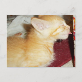 SLECHTS ÉÉN LIK BRIEFKAART