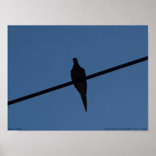 Slechts eenzaam poster