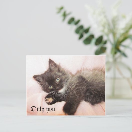 Slechts u briefkaart (Staand voorkant)