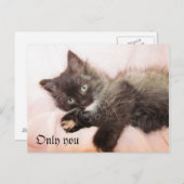 Slechts u briefkaart (Voorkant / Achterkant)