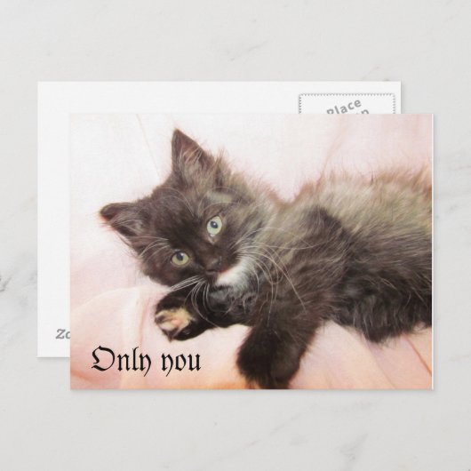 Slechts u briefkaart (Voorkant / Achterkant)