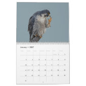 Slechtvalk 2026 kalender (Jan 2027)