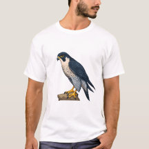 Slechtvalk heren T-Shirts