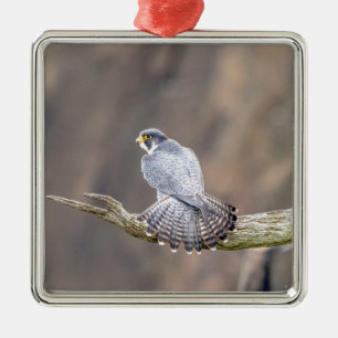 Slechtvalk in Palisades Interstate Park Metalen Ornament