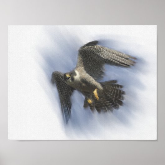Slechtvalk in vlucht poster (Voorkant)