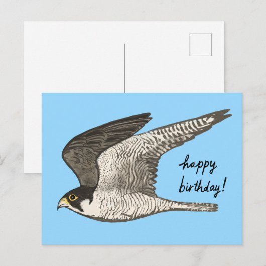 Slechtvalk Kleurpotlood GELUKKIGE VERJAARDAG Briefkaart (Voorkant / Achterkant)