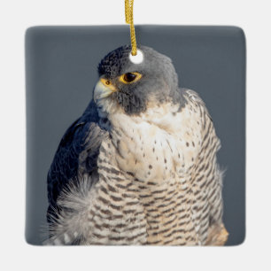 Slechtvalk langs de Hudsonrivier Keramisch Ornament