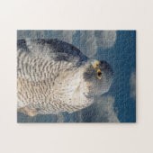 Slechtvalk langs de Hudsonrivier Legpuzzel (Horizontaal)