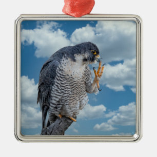 Slechtvalk langs de Hudsonrivier Metalen Ornament