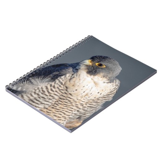 Slechtvalk langs de Hudsonrivier Notitieboek (Linkerzijde)