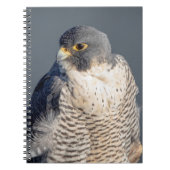 Slechtvalk langs de Hudsonrivier Notitieboek (Voorkant)